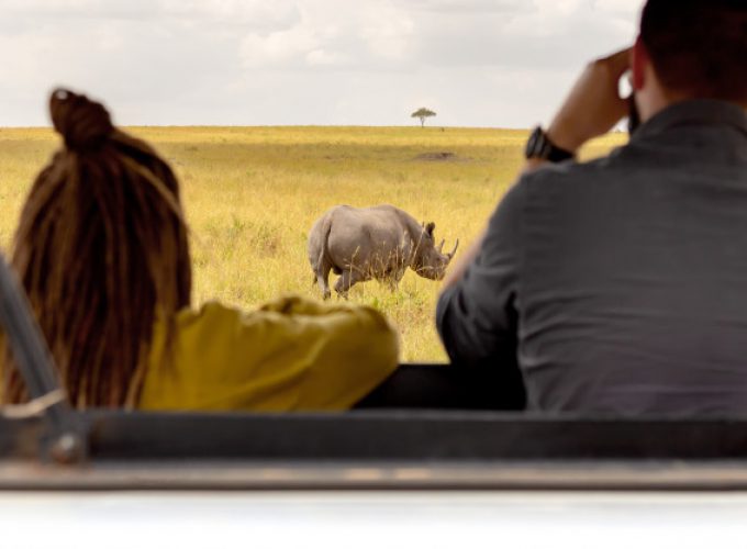 Masai Mara by Road 2N / 3D