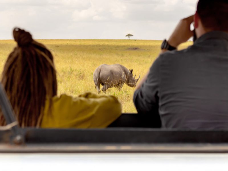 Masai Mara by Road 2N / 3D