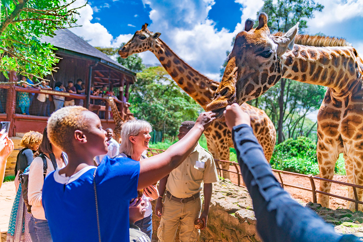 Giraffe Centre (Add On) Safiri Travels Australia