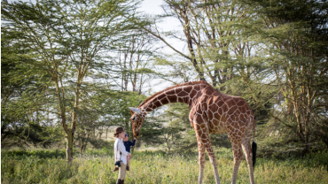 Why Take A Safari in Africa in 2022-2023 Season