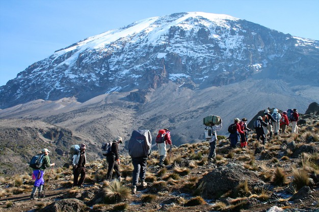 7 NIGHTS / 8 DAYS MACHAME ROUTE - MT KILIMANJARO - Safiri Travels Australia