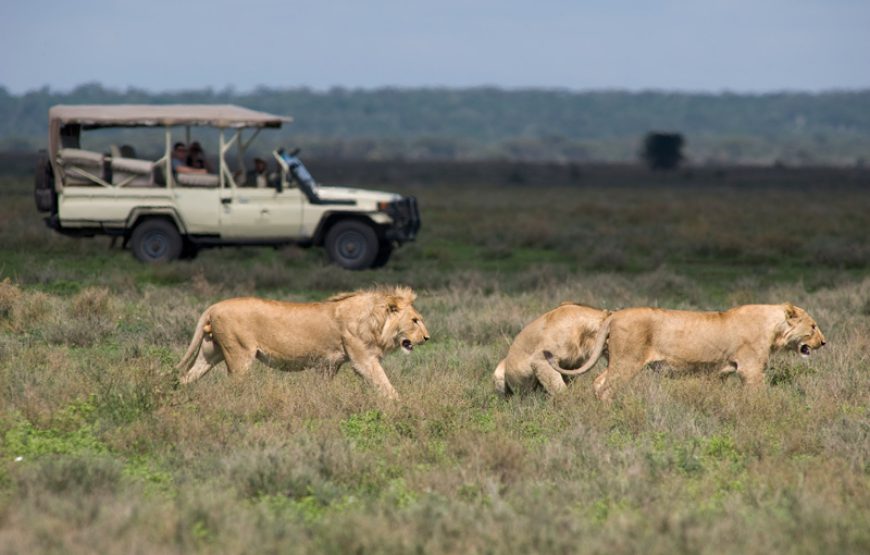 Nairobi – Masai Mara 5 Nights 6 Days