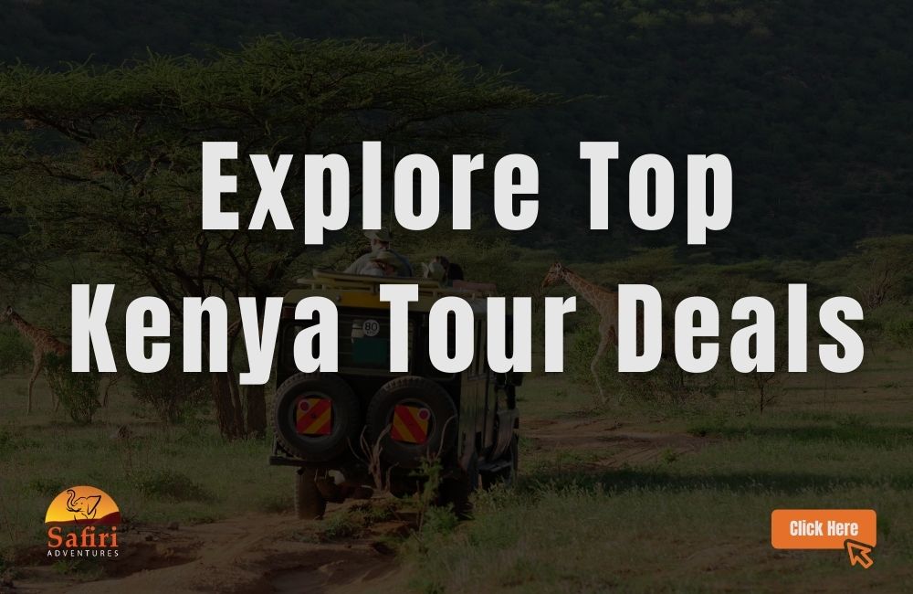 top kenya tours from australia